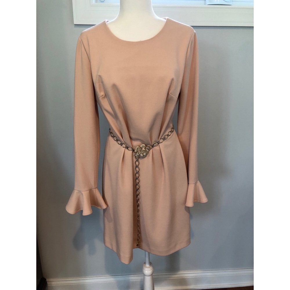 Calvin Klein Light Pink Ruffle-Sleeve Dress